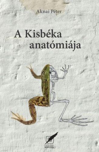 A kisbéka anatómiája