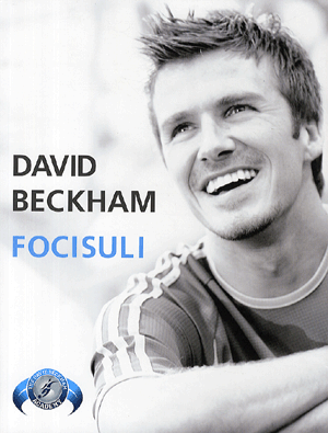 Focisuli