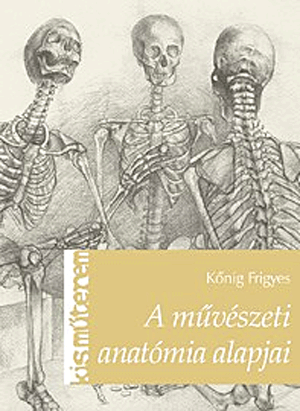 A művészeti anatómia alapjai