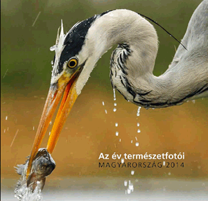 AZ év természetfotói - Magyarország 2014