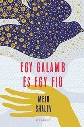Egy galamb és egy fiú