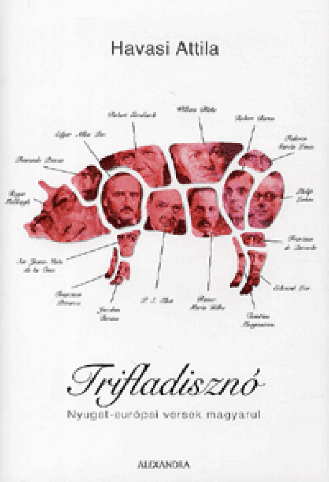 Trifladisznó