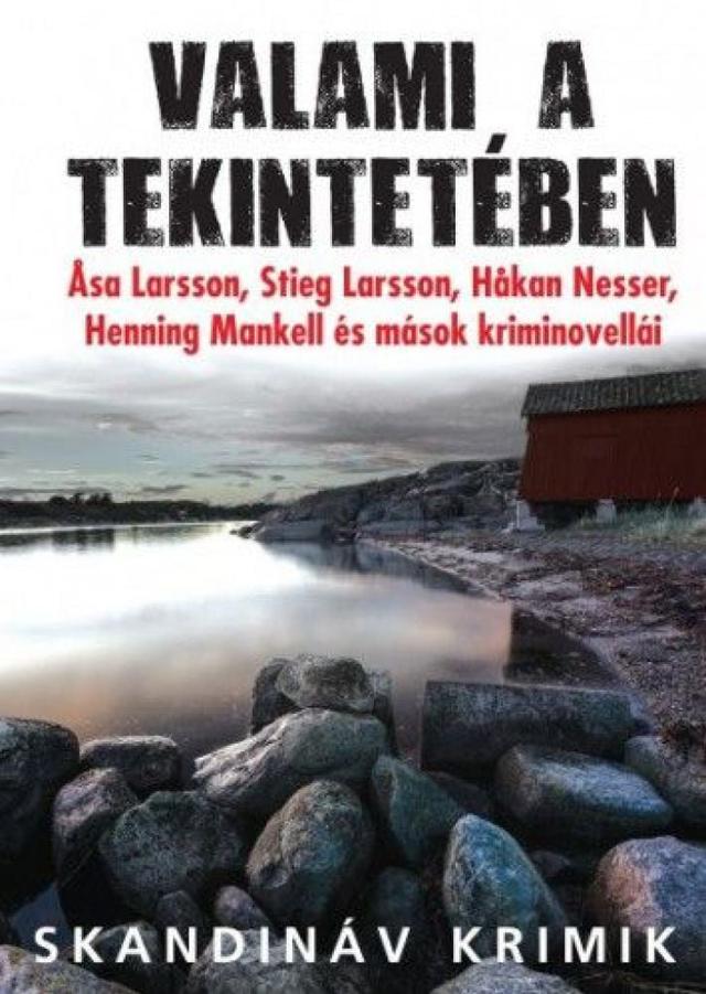 Valami a tekintetében - Svéd kriminovellák