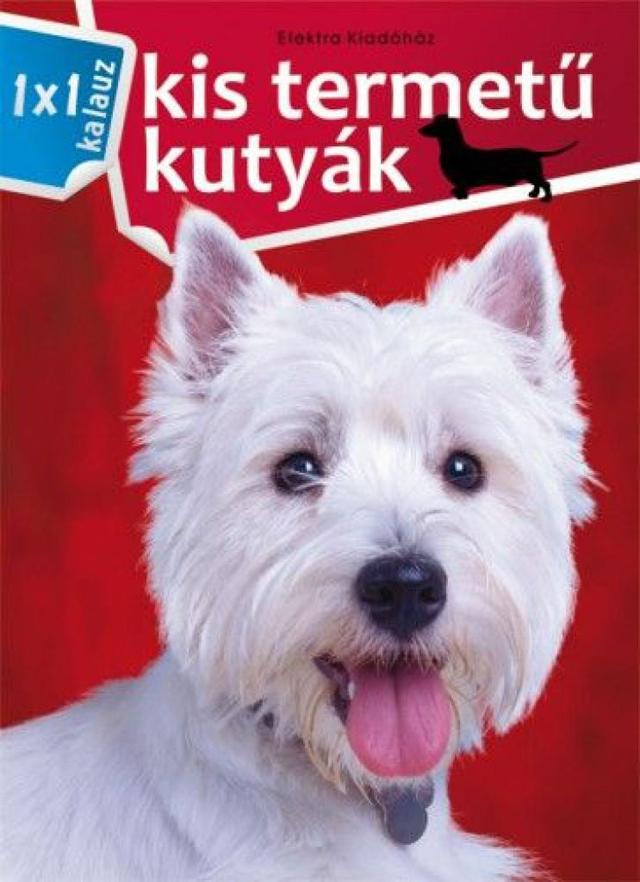 Kistermetű kutyák