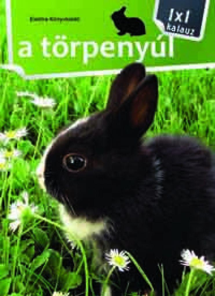 Törpenyúl