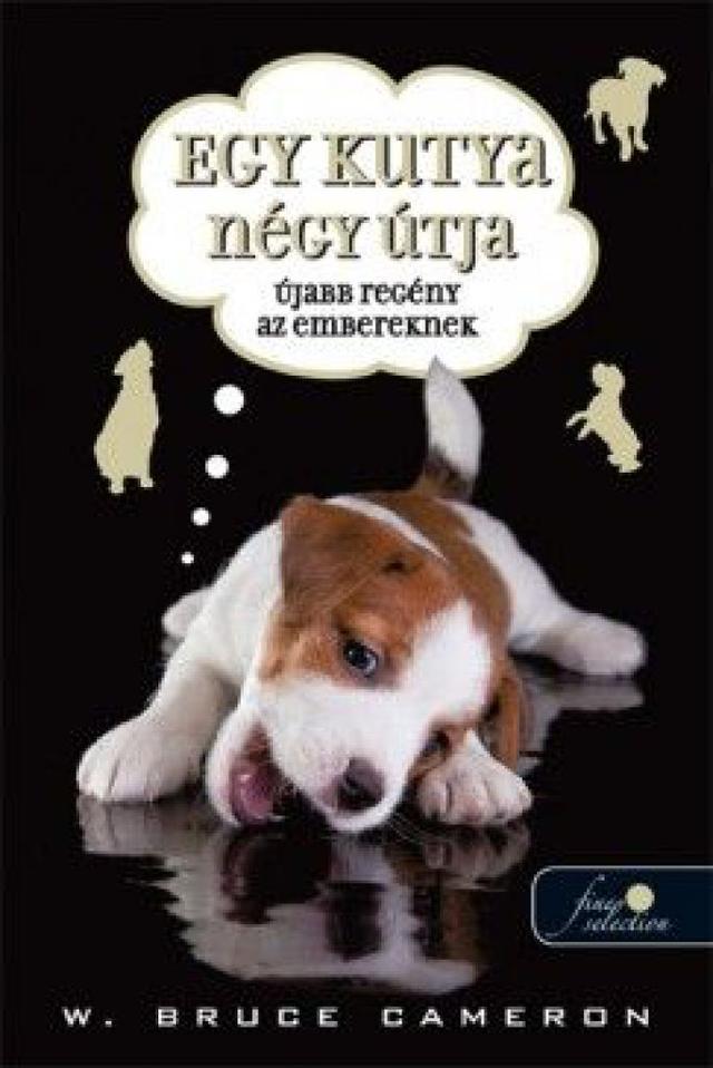 Egy kutya négy útja