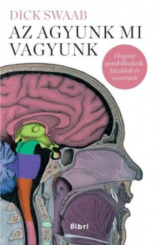Az agyunk mi vagyunk