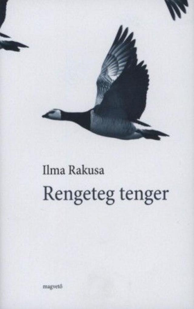 Rengeteg tenger