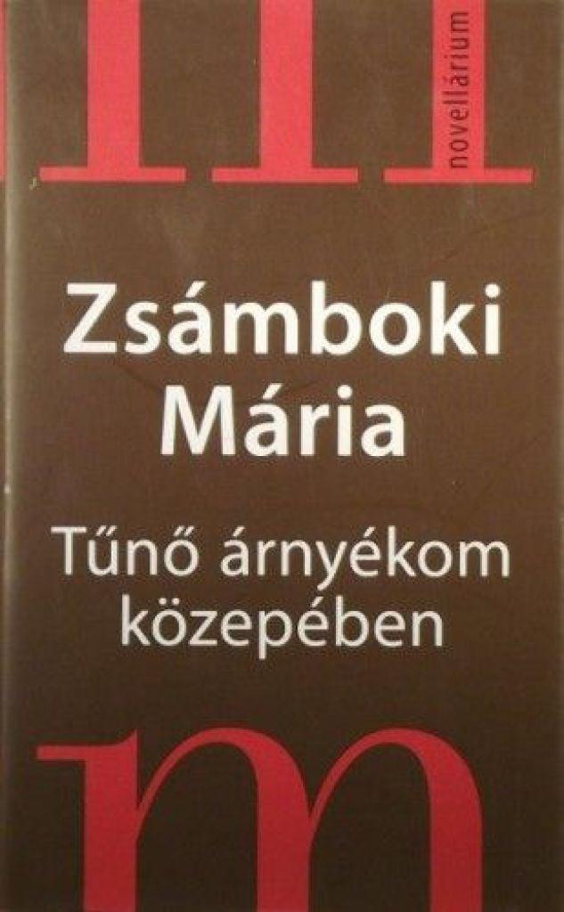 Tűnő árnyékom közepében