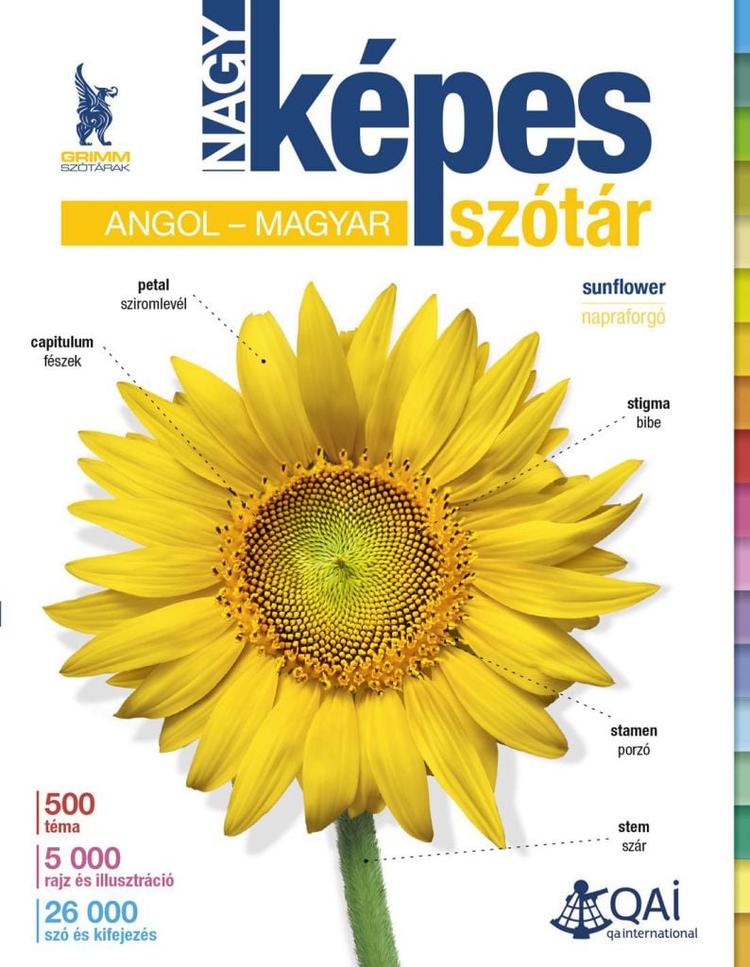 Nagy képes szótár angol–magyar