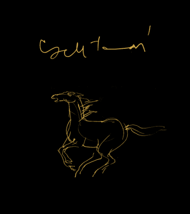 Cseh Tamás - Grafikák