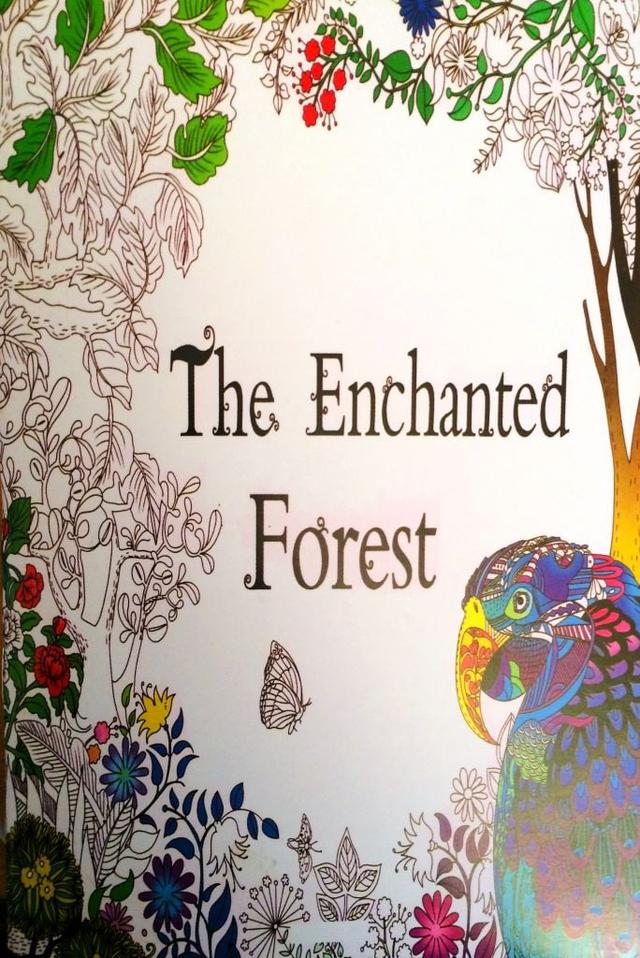 The Enchanted Forest