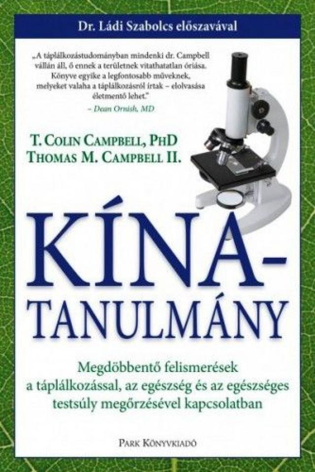 Kína-tanulmány