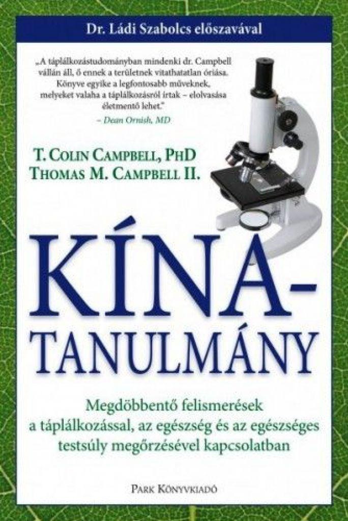 Kína-tanulmány