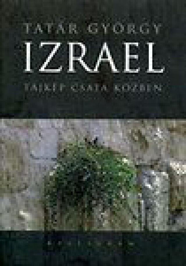 Izrael - Tájkép csata közben