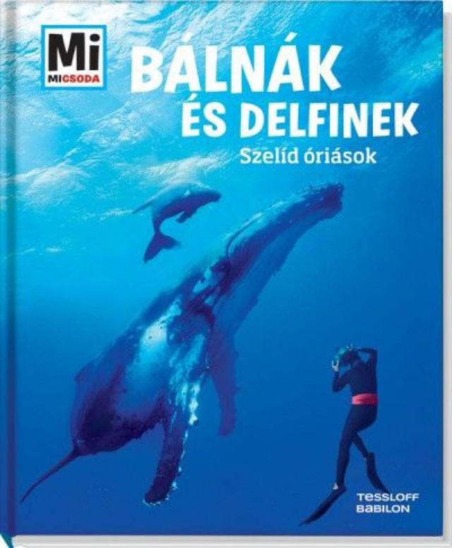 Bálnák és delfinek: Szelíd óriások - Mi Micsoda