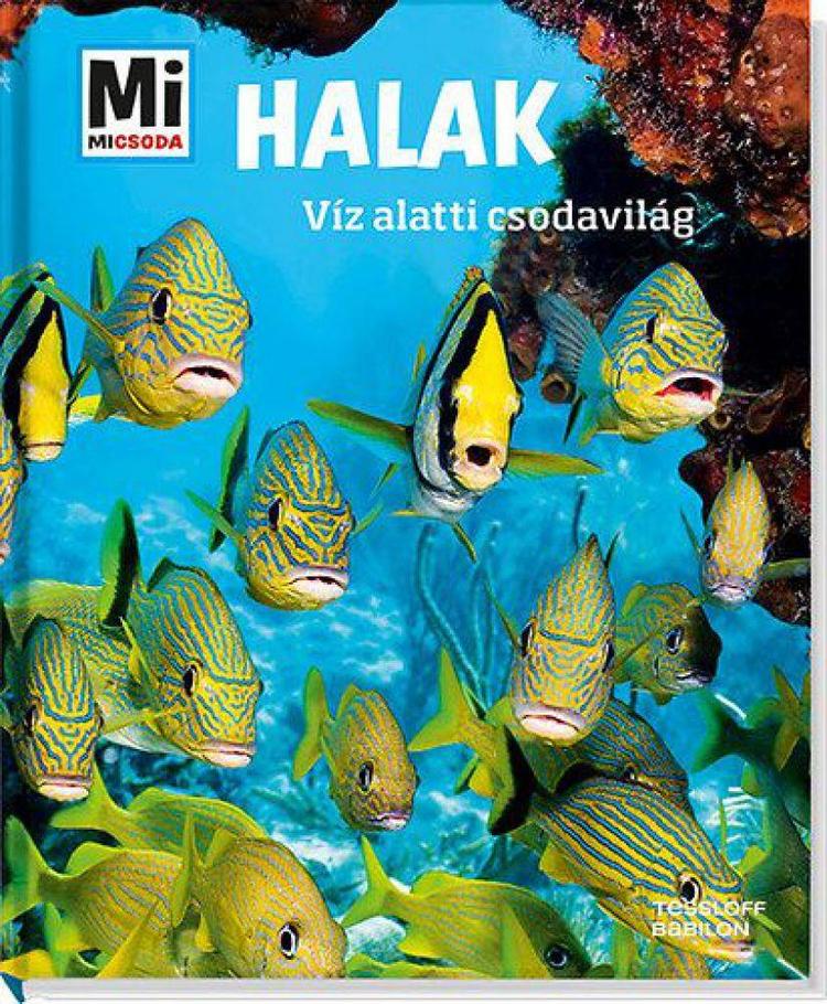 Halak: Víz alatti csodavilág - Mi Micsoda