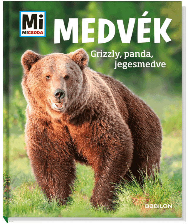 Medvék: Grizzly, panda, jegesmedve - Mi Micsoda