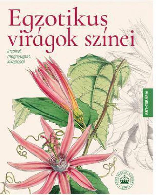 Egzotikus virágok színei - Inspirál, megnyugtat, kikapcsol